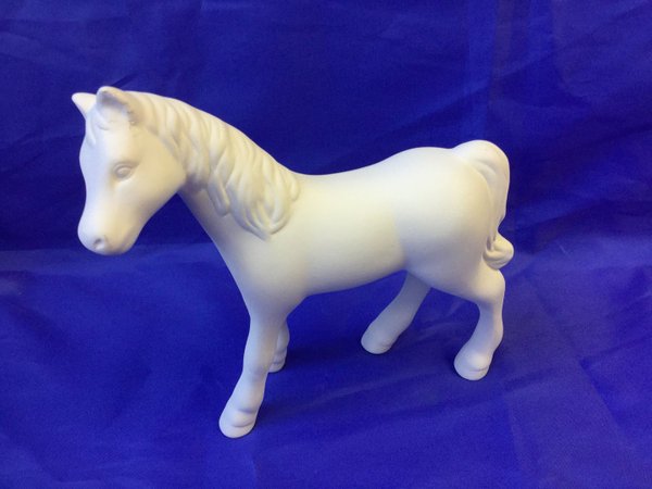 Pony, 16 x 16 cm